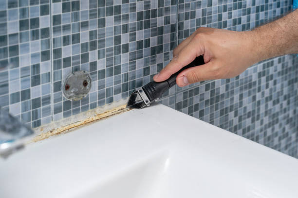 Best Toxic Mold Removal  in Lennox, CA